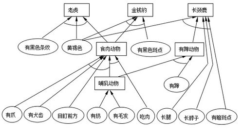 人工智能基礎軟件項目開發(fā)實踐 以動物識別產(chǎn)生式系統(tǒng)為例